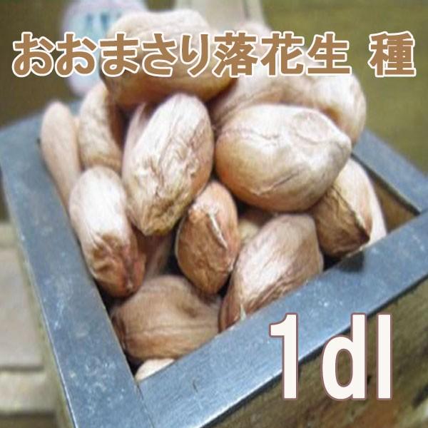 数量限定 野菜 種 苗 おおまさり 落花生 生もの種 1dl 約37粒 3月下旬頃より順次発送 Vg ベジタブルガーデン ハラダ 通販 Yahoo ショッピング