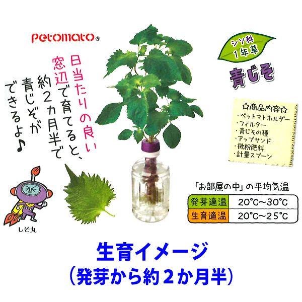 大特価 水耕栽培キット ペットマト 青じそ 種約10粒 Buyee Buyee 日本の通販商品 オークションの代理入札 代理購入