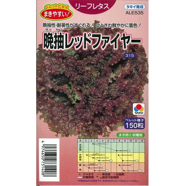 野菜の種/種子 晩抽レッドファイヤー リーフレタス 150粒（メール便