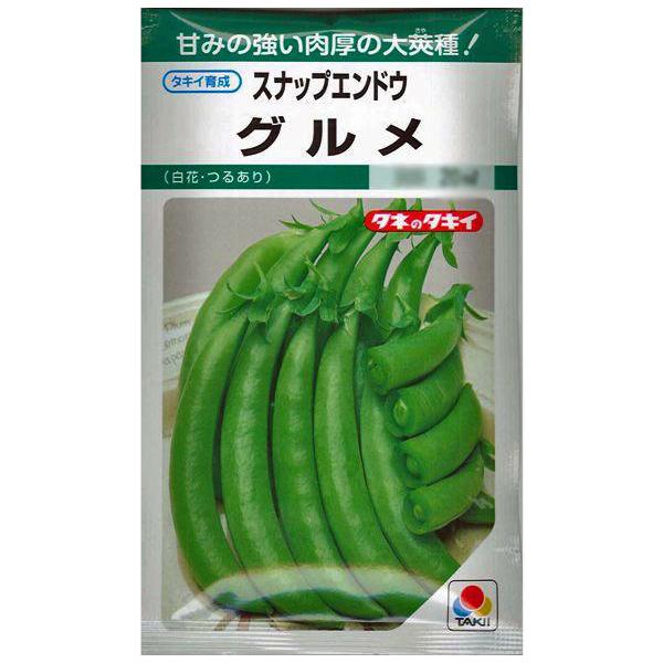 野菜の種/種子 スナップエンドウ グルメ えんどう 18ml（メール便発送）タキイ種苗