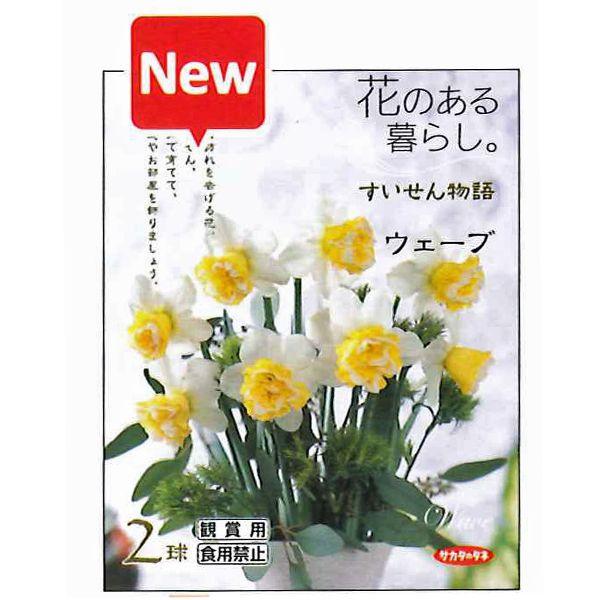 花 球根 スイセン 水仙 ウエーブ 花のある暮らし すいせん物語 2球入 Vg ベジタブルガーデン ハラダ 通販 Yahoo ショッピング