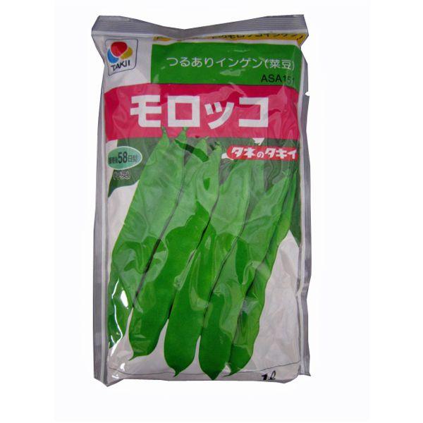 野菜の種/種子 モロッコ・つるありいんげん 1L（大袋）タキイ種苗