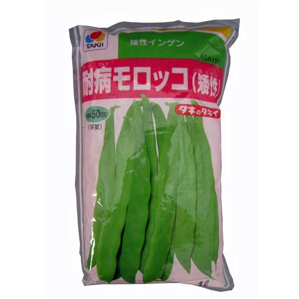 野菜の種 種子 耐病モロッコ 矮性いんげん １l 大袋 タキイ種苗 Www Donabeija Pt