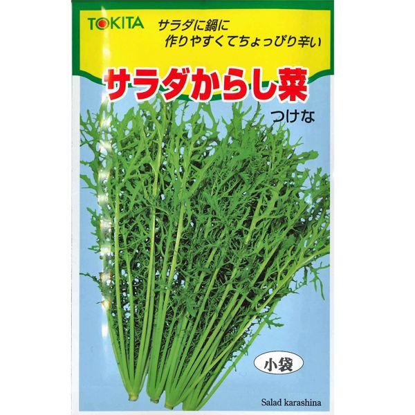 野菜の種 種子 サラダからし菜 カラシナ 12ml メール便発送 Vg ベジタブルガーデン ハラダ 通販 Yahoo ショッピング