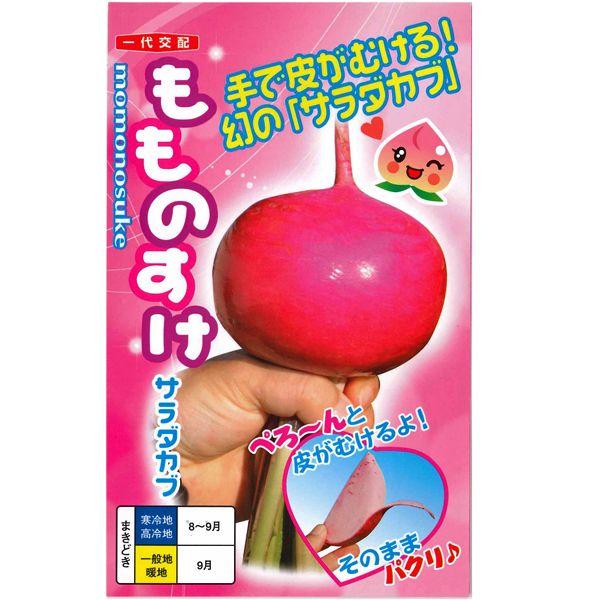 外皮に切れ込みを入れると、手で綺麗にひと皮むけます。播種後55日くらいで8cm程度の中蕪となりますが、12cm位程度まで大きくなります。