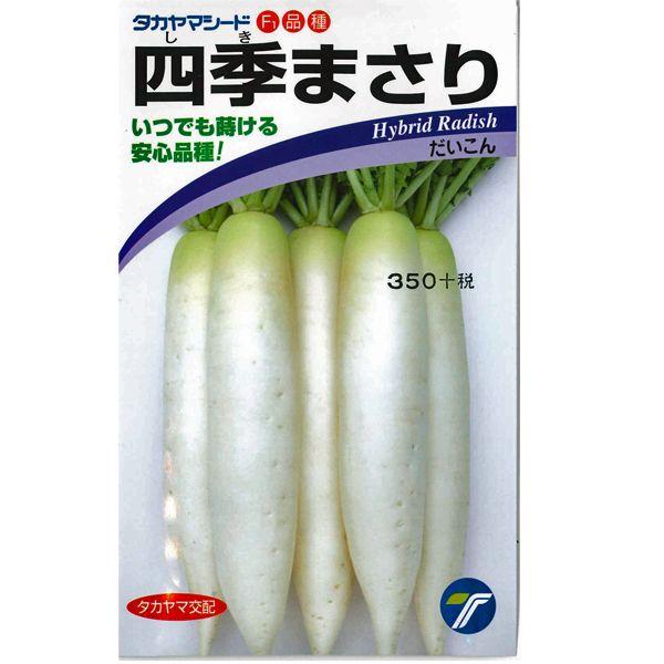 野菜の種/種子 四季まさり・大根 ダイコン 2ml（メール便発送