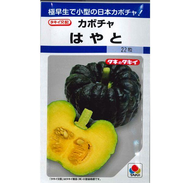 ؂̎/q ͂ƁEJ{` ڂ Z 19i[֔j^LCc