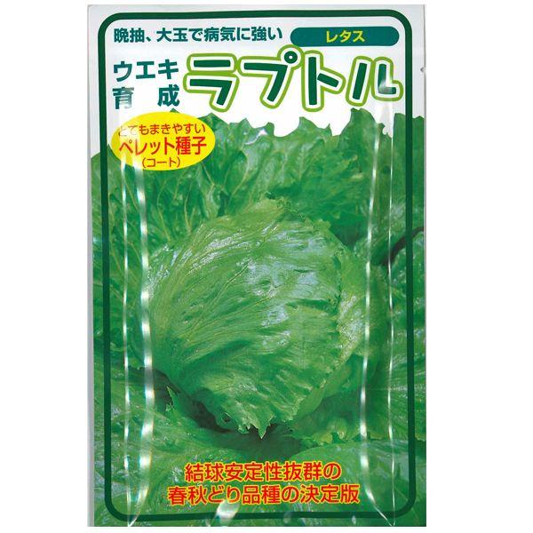 野菜の種/種子　ラプトル　レタス　ペレット100粒　（メール便発送）