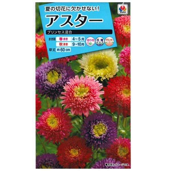 Ԃ̎@AX^[mvZXn@1mli[֔j^LCc