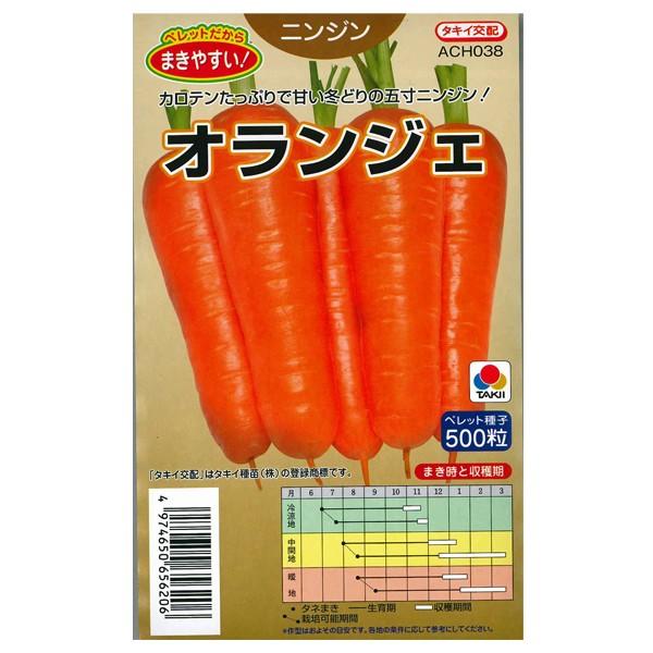 新入荷 人参の種 甘美人 ペレット300粒 野菜の種 松永種苗 ニンジン 音色 コート種子約250粒