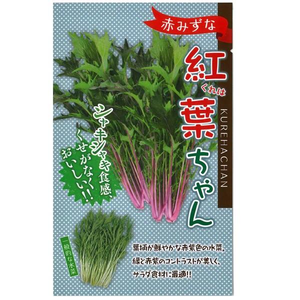 野菜の種 種子 紅葉 くれは ちゃん 水菜 赤みずな 5ml メール便発送 Vg ベジタブルガーデン ハラダ 通販 Yahoo ショッピング