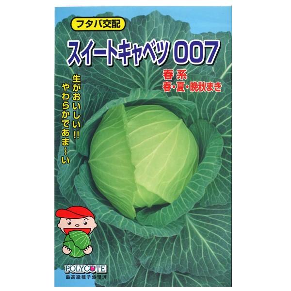 野菜の種/種子 スイートキャベツ007・キャベツ 1.2ml （メール便発送