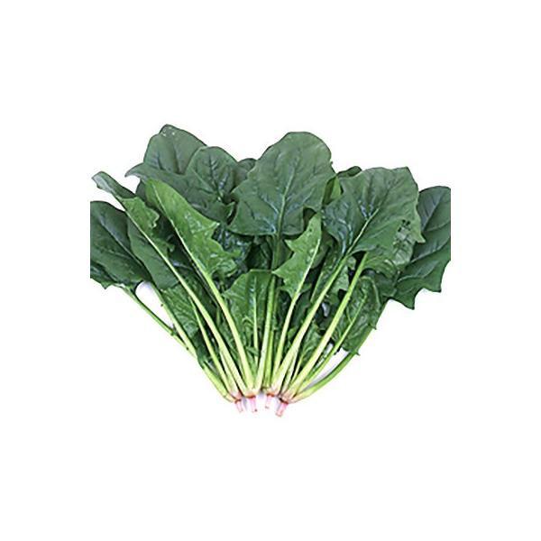 ؂̎/q ~[WEق񂻂 LE2i܁jTJ^̃^l c