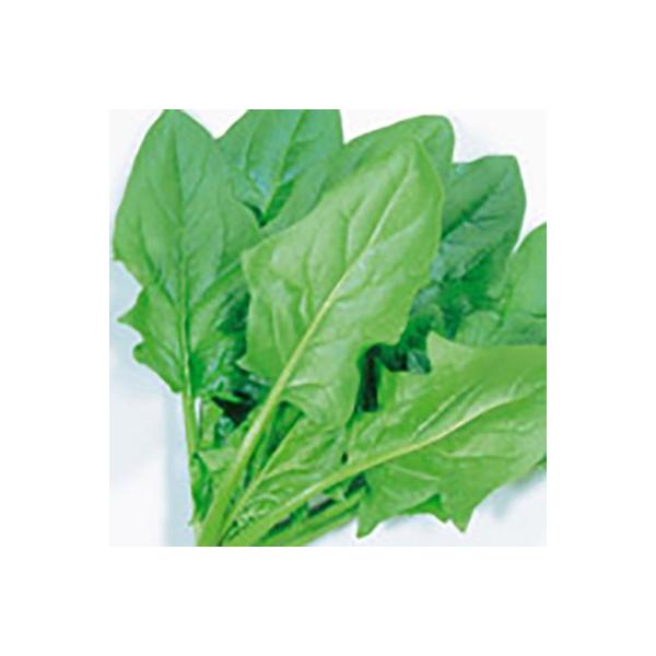 ؂̎/q \Eق񂻂 LE2i܁jTJ^̃^l c