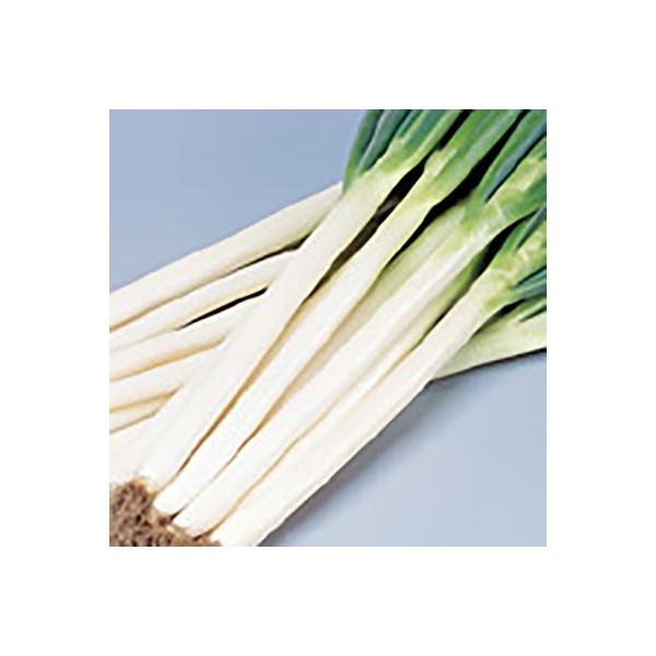 ؂̎/q Đ4 ˂ 20mli[֔jTJ^̃^l c