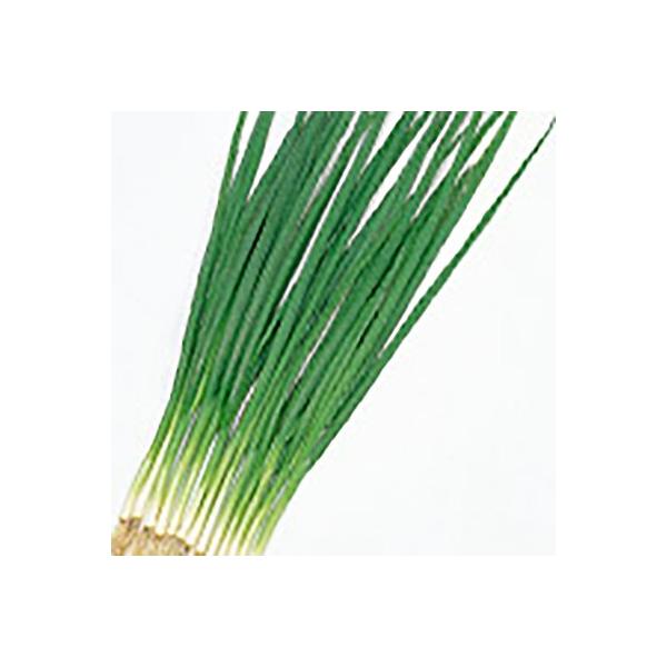 ؂̎/q  ˂ 1Li܁jTJ^̃^l c