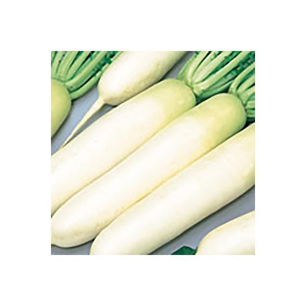 ؂̎/q 37 卪 20mli[֔jTJ^̃^l c