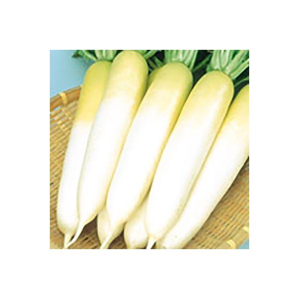 ؂̎/q ~ 卪 ybg5000i܁jTJ^̃^l c