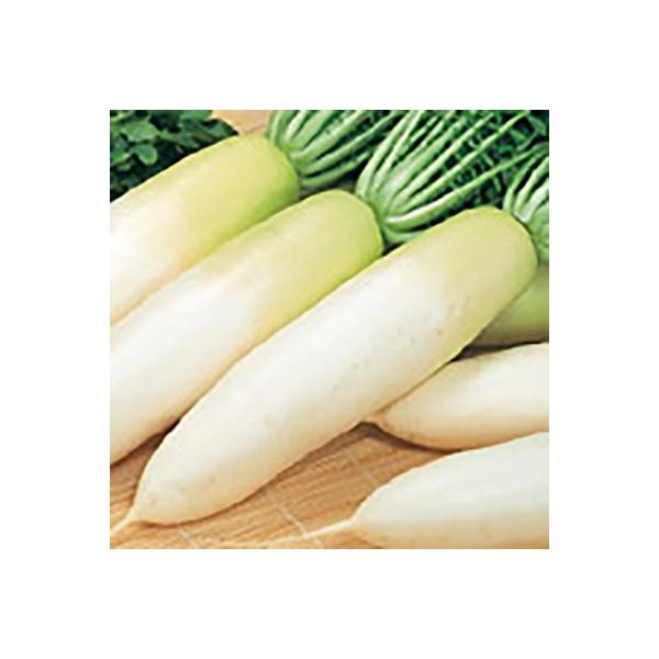 ؂̎/q ~݂ 卪 800i[֔jTJ^̃^l c