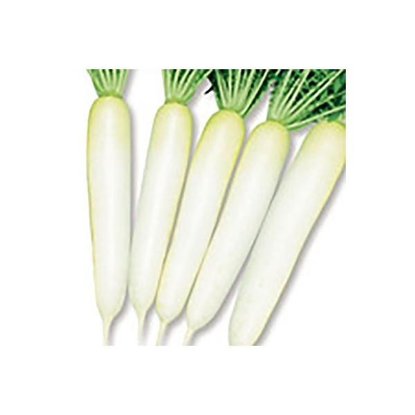 ؂̎/q ~݂˃Zu 卪 ybg5000i܁jTJ^̃^l c