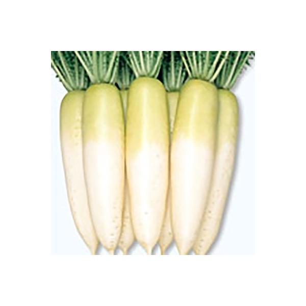 ؂̎/q V 卪 20mli[֔jTJ^̃^l c