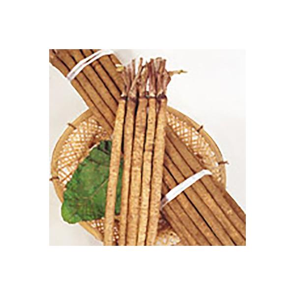 ؂̎/q ݂Ƃ攒 ڂ 20mli[֔jTJ^̃^l c