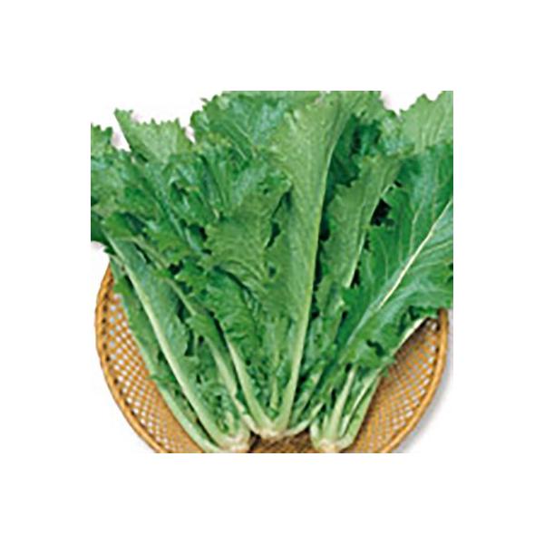 ؂̎/q ZtH 炵  8mli[֔jTJ^̃^l c