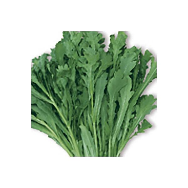 ؂̎/q ܂ T_te VMN 40mli[֔jTJ^̃^l c