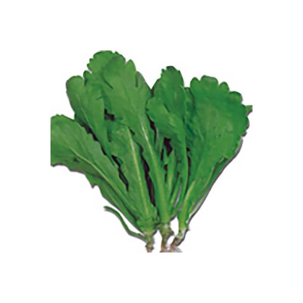 ؂̎/q tte VMN 27mli[֔j^LCc