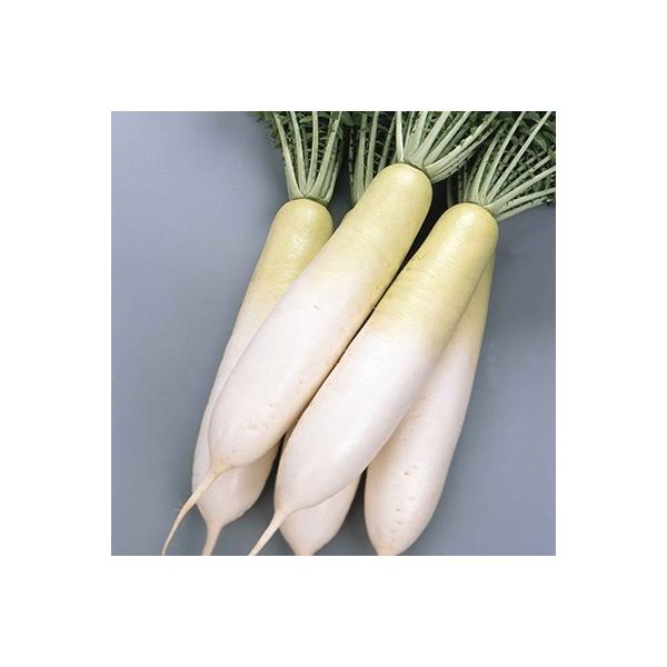 ؂̎/q ~݂2 卪 5.0mli[֔jTJ^̃^l c