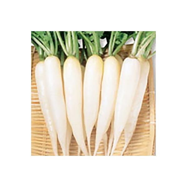 ؂̎/q Ꮼ \卪 8mli[֔jTJ^̃^l c