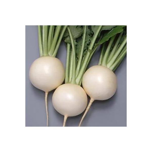 ؂̎/q ݂ӂ Ju 3mli[֔jTJ^̃^l c