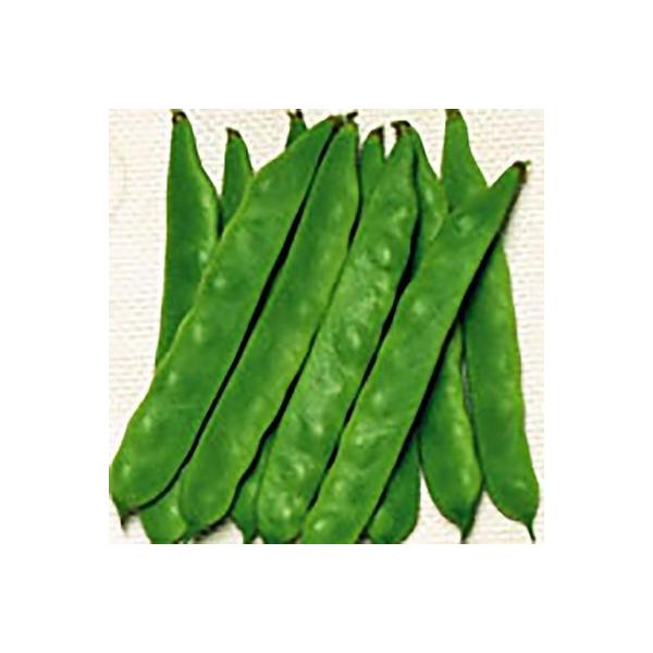 ؂̎/q Wr[m 邠肢񂰂 26mli[֔jTJ^̃^l c