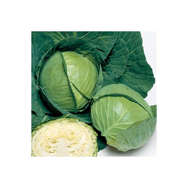 ؂̎/q HSP Lxc 2000i܁j^LCc