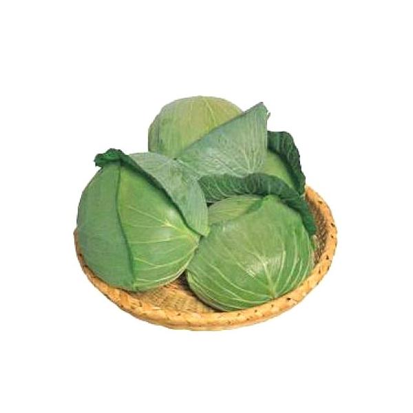 ؂̎/q  Lxc 2000i[֔j^LCc