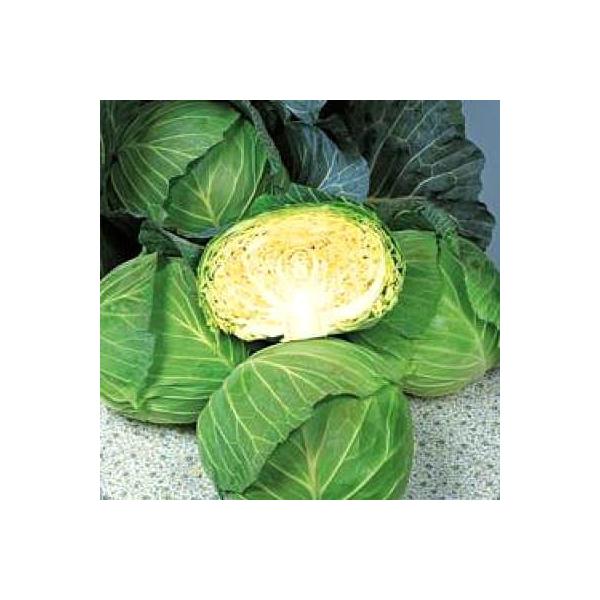 ؂̎/q ʉ Lxc 2000i[֔j^LCc