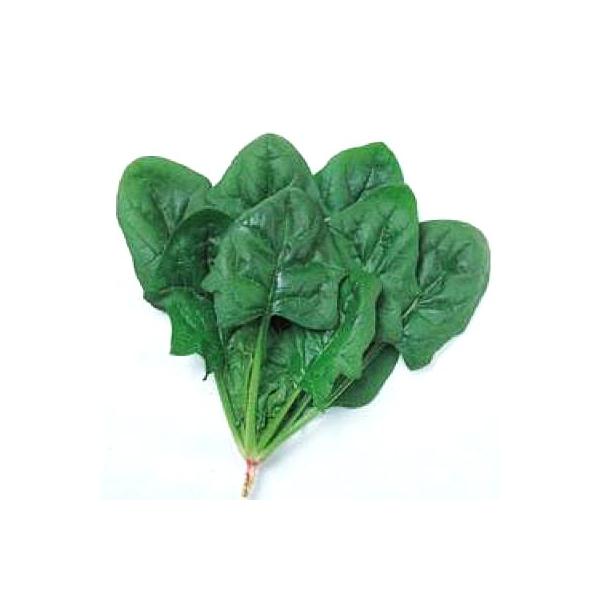 ؂̎/q I[CEق񂻂 ق @@ 1dli[֔j^LCc