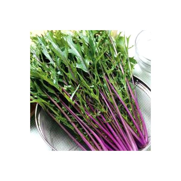 ؂̎/q g@tE 20mli[֔j^LCc