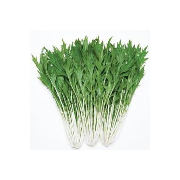 ؂̎/q ȂŁE 20mli[֔j^LCc