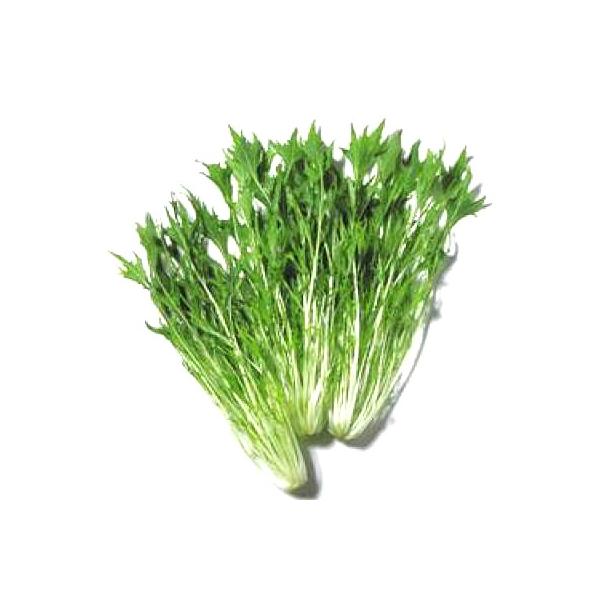 ؂̎/q ݂E 2dli܁j^LCc