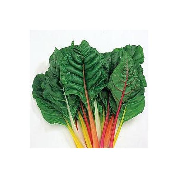 ؂̎/q uCgCgit_ijEXCX`[h 5mli[֔j^LCc