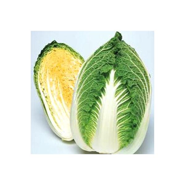 ؂̎/q 90EnNTCE 5000i܁j^LCc