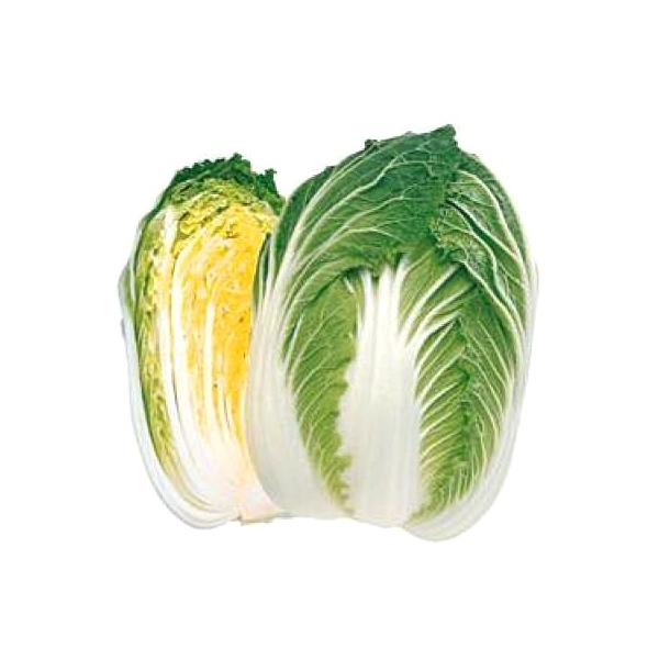 ؂̎/q 80EnNTCE 1.0mli[֔j^LCc