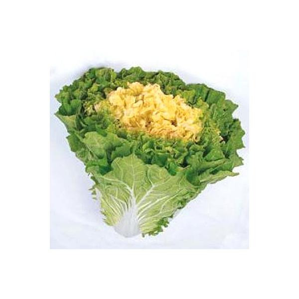 ؂̎/q VÂ܁EnNTCE 20mli[֔j^LCc