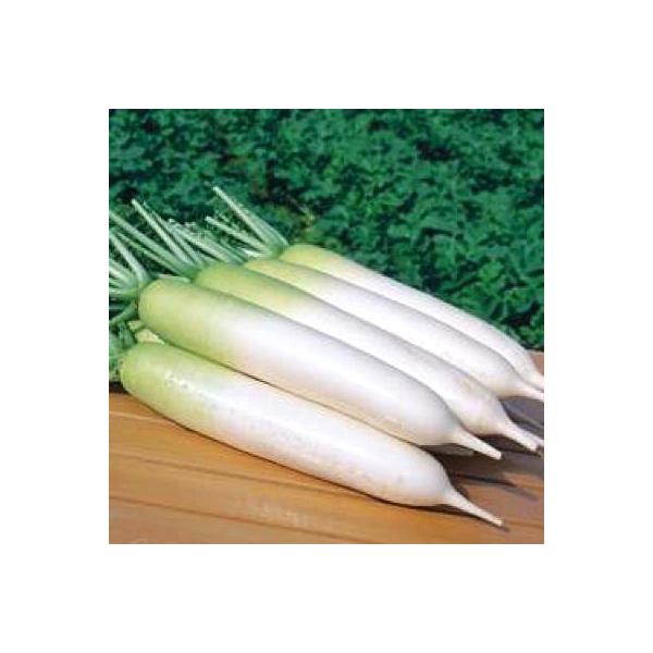 ؂̎/q Ă̗E _CR 7mli[֔j^LCc