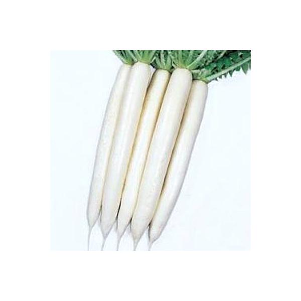 ؂̎/q Ă݂̑OE _CR 2dli܁j^LCc