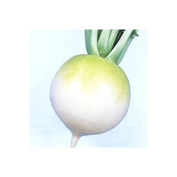 ؂̎/q 萹@E _CR 2dli܁j^LCc