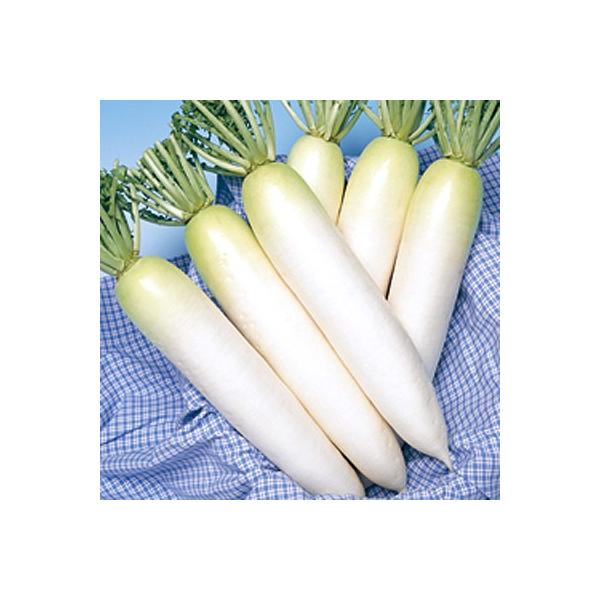 ؂̎/q t_yE _CR 10mli[֔j^LCc