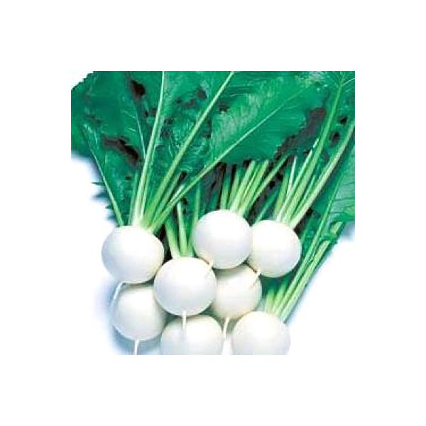 ؂̎/q CR΂ȁEJu 1dli[֔j^LCc@y7{z