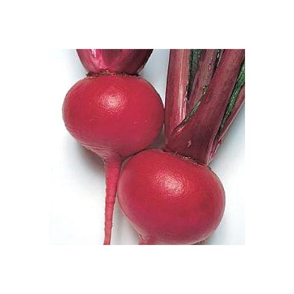 ؂̎/q {gԊەEJu 1dli[֔j^LCc